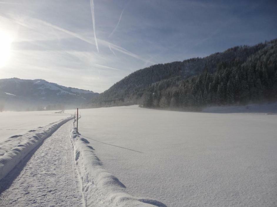 Apartment Streifblick Reith bei Kitzbühel Buitenkant foto